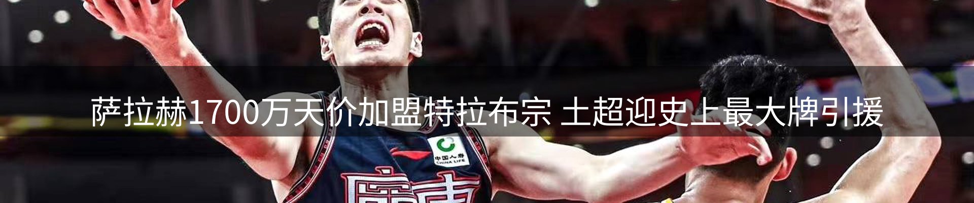 新闻动态