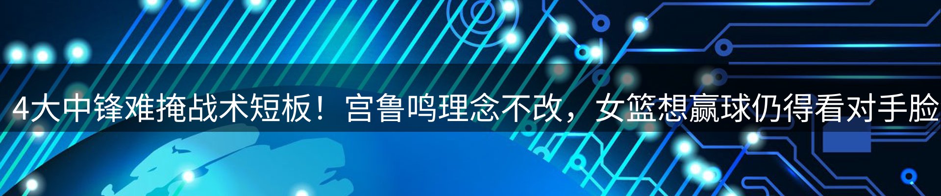 新闻动态